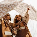 parapluie léo.webp