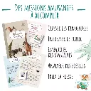 Jeux imitation  Si j'étais en mission dinosaures Amulette 5.webp
