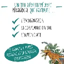Jeux imitation  Si j'étais en mission dinosaures Amulette 7.webp