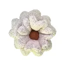 Coussin fleur camel.webp