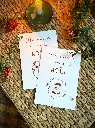 Cartes Souvenirs de Noël "Père Noël"3.webp