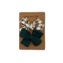Duo barrettes