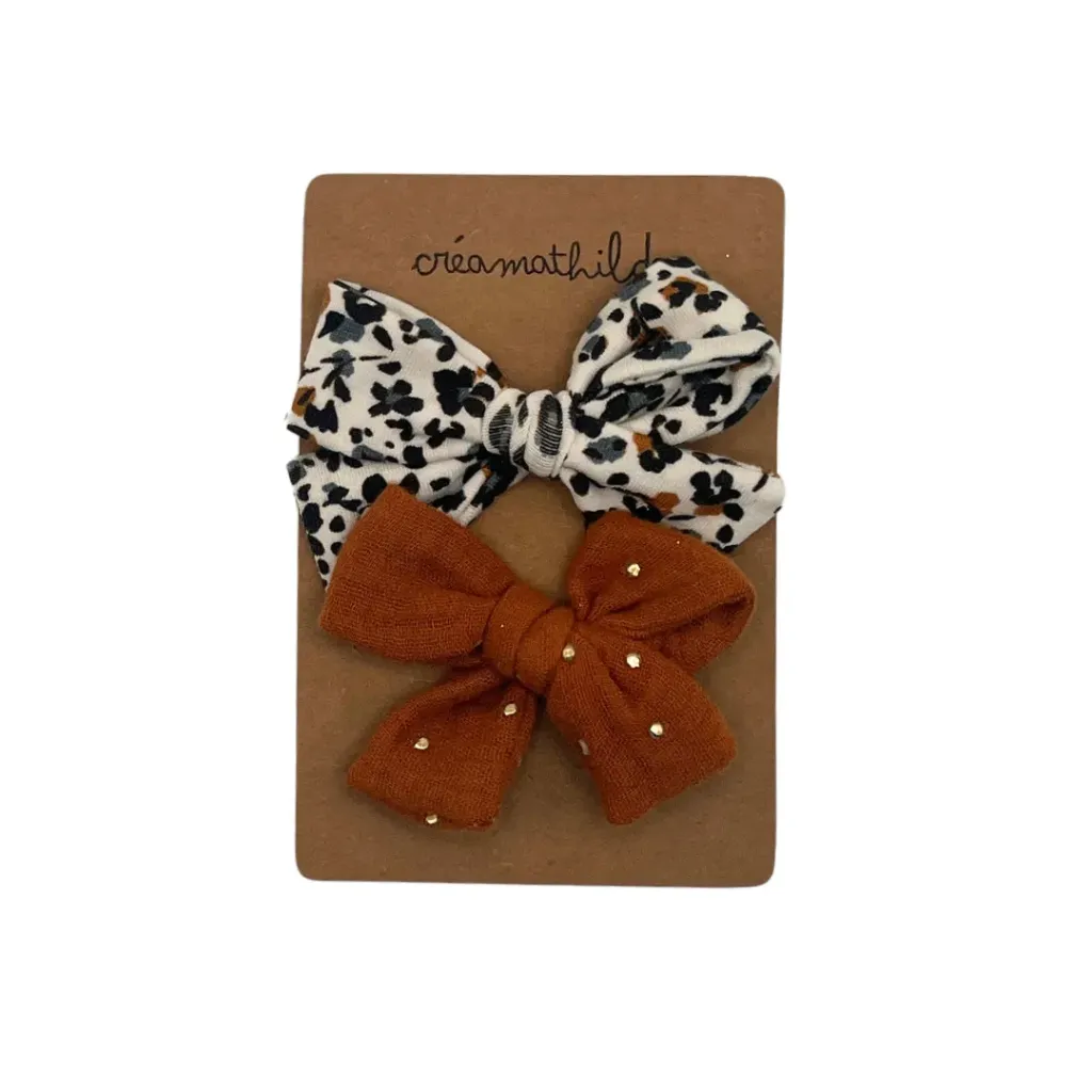 Duo barrettes