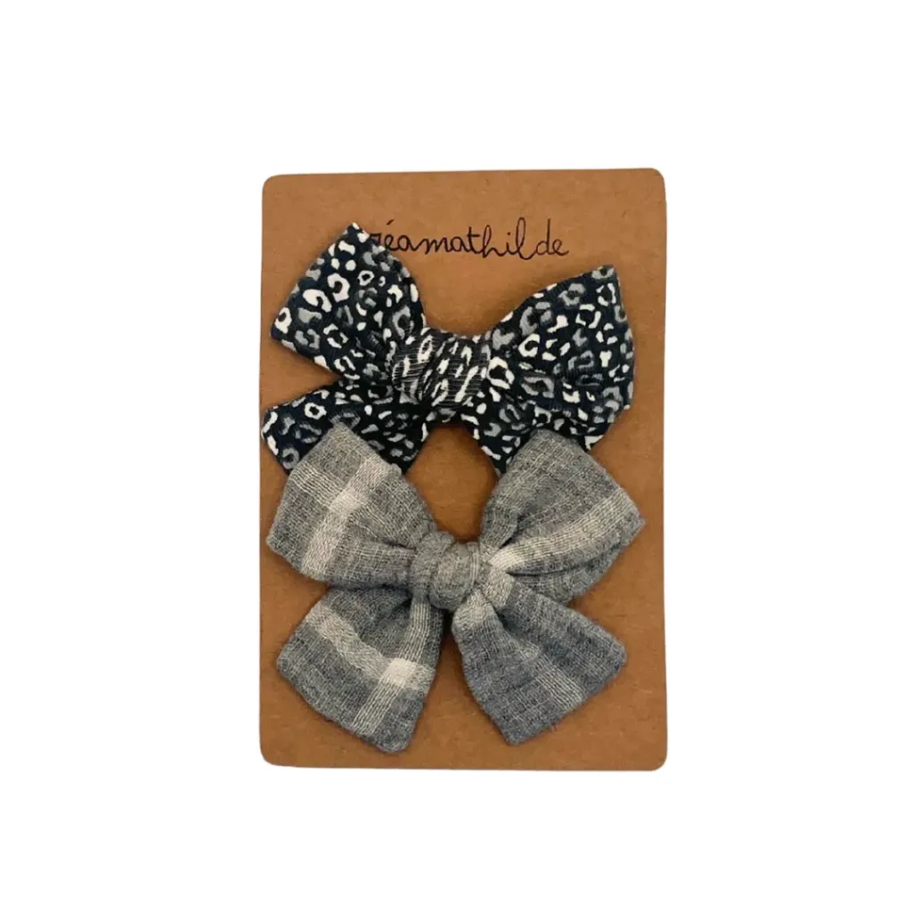 Duo barrettes